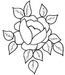 Rose 13